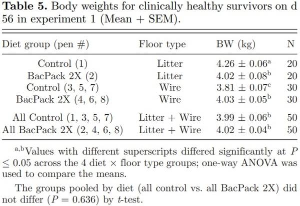 Prophylactic administration of a combined prebiotic and probiotic, or therapeutic administration of enrofloxacin, to reduce the incidence of bacterial chondronecrosis with osteomyelitis in broilers - Image 7