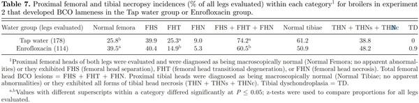 Prophylactic administration of a combined prebiotic and probiotic, or therapeutic administration of enrofloxacin, to reduce the incidence of bacterial chondronecrosis with osteomyelitis in broilers - Image 12