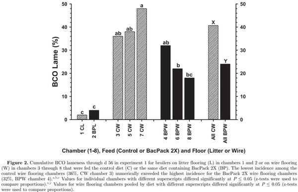 Prophylactic administration of a combined prebiotic and probiotic, or therapeutic administration of enrofloxacin, to reduce the incidence of bacterial chondronecrosis with osteomyelitis in broilers - Image 4