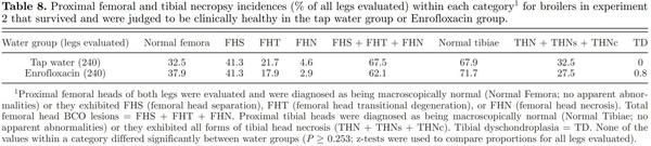 Prophylactic administration of a combined prebiotic and probiotic, or therapeutic administration of enrofloxacin, to reduce the incidence of bacterial chondronecrosis with osteomyelitis in broilers - Image 13