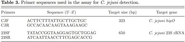 The role of whey on the performance and campylobacteriosis in broiler chicks - Image 3