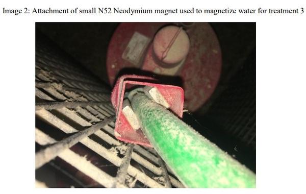 The Effect of Magnetic Water on Feed Conversion Ratio, Body Weight Gain, Feed Intake and Livability of Male Broiler Chickens - Image 2