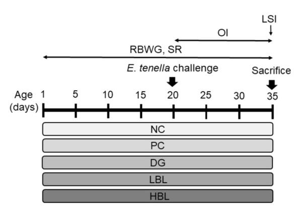 Effectiveness of Bacillus licheniformis-Fermented Products and Their Derived Antimicrobial Lipopeptides in Controlling Coccidiosis in Broilers (Extract) - Image 2