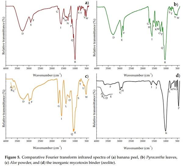 Assessing the Aflatoxin B1 Adsorption Capacity between Biosorbents Using an In Vitro Multicompartmental Model Simulating the Dynamic Conditions in the Gastrointestinal Tract of Poultry - Image 6
