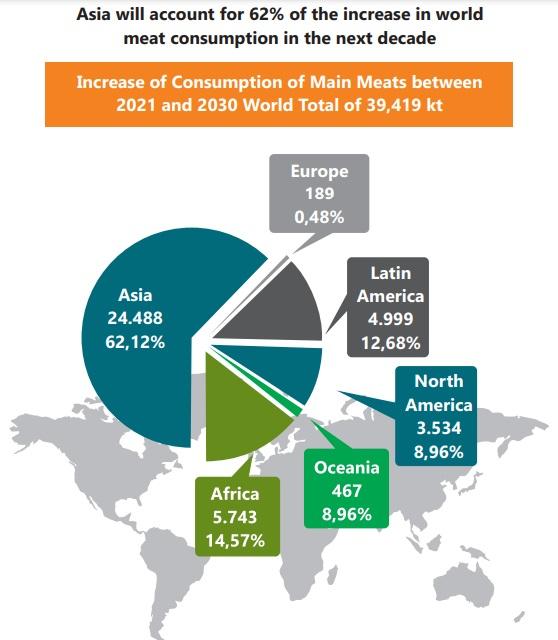 Economic Recession - Recovery and Global Meat Market Dynamics - Image 4