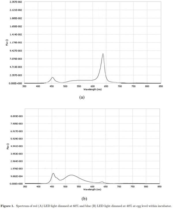 Providing colored photoperiodic light stimulation during incubation: 1. Effects on embryo development and hatching performance in broiler hatching eggs - Image 1