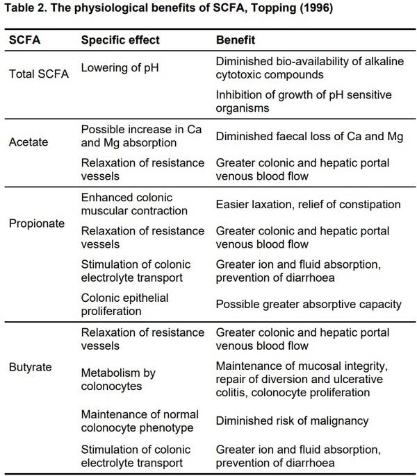 Organic Acids as Potential Alternatives to Antibiotic Growth Promoters for Pigs - Image 6