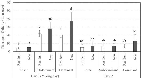 Social status and previous experience in the group as predictors of welfare of sows housed in large semi-static groups - Image 9