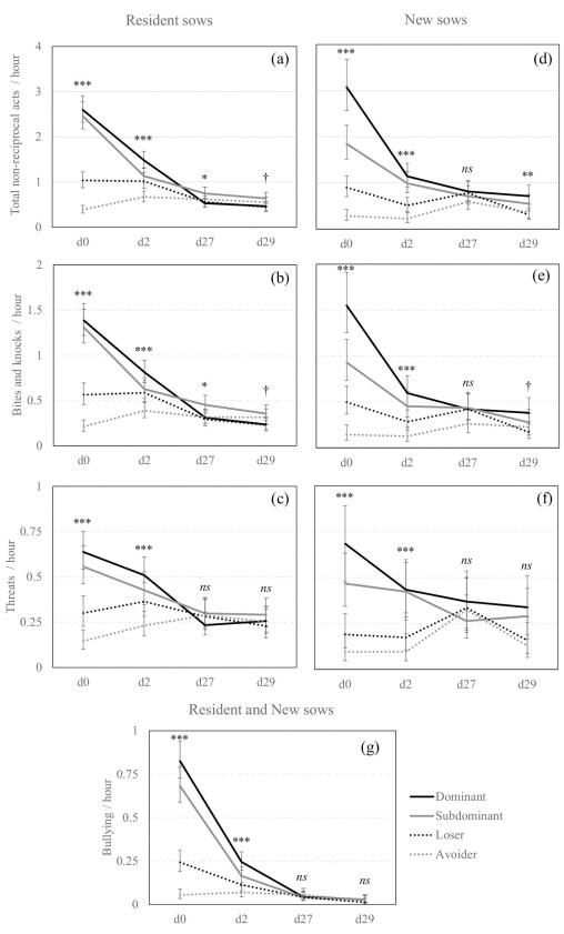 Social status and previous experience in the group as predictors of welfare of sows housed in large semi-static groups - Image 6