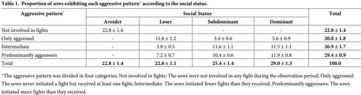 Social status and previous experience in the group as predictors of welfare of sows housed in large semi-static groups - Image 1