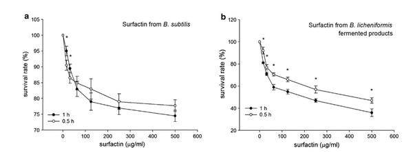 Antibacterial activity of Bacillus species-derived surfactin on Brachyspira hyodysenteriae and Clostridium perfringens (Extract) - Image 4