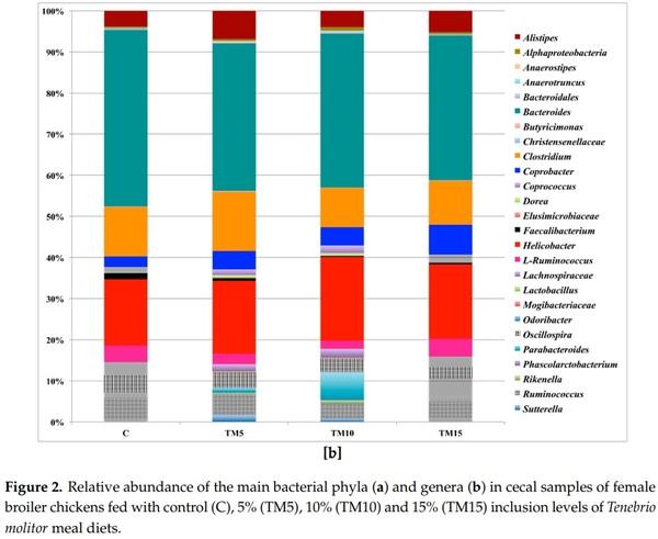 Gut Microbiota and Mucin Composition in Female Broiler Chickens Fed Diets including Yellow Mealworm (Tenebrio molitor, L.) - Image 3