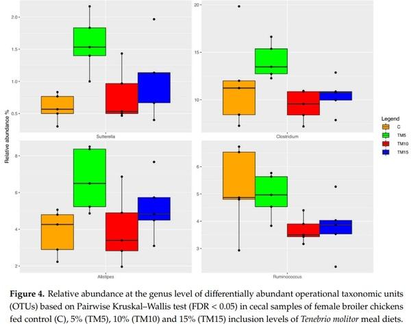 Gut Microbiota and Mucin Composition in Female Broiler Chickens Fed Diets including Yellow Mealworm (Tenebrio molitor, L.) - Image 5