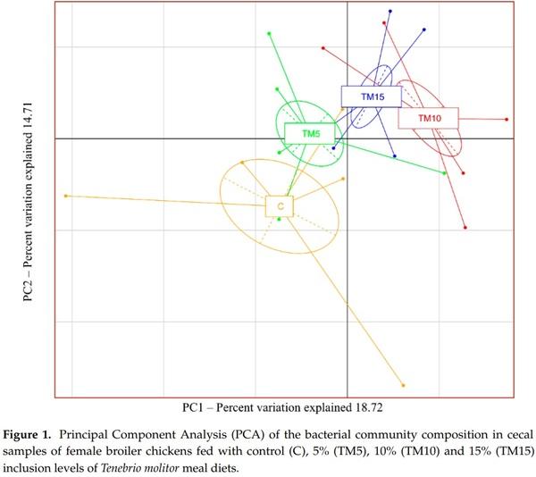 Gut Microbiota and Mucin Composition in Female Broiler Chickens Fed Diets including Yellow Mealworm (Tenebrio molitor, L.) - Image 1