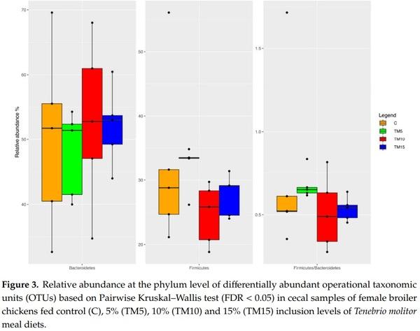 Gut Microbiota and Mucin Composition in Female Broiler Chickens Fed Diets including Yellow Mealworm (Tenebrio molitor, L.) - Image 4