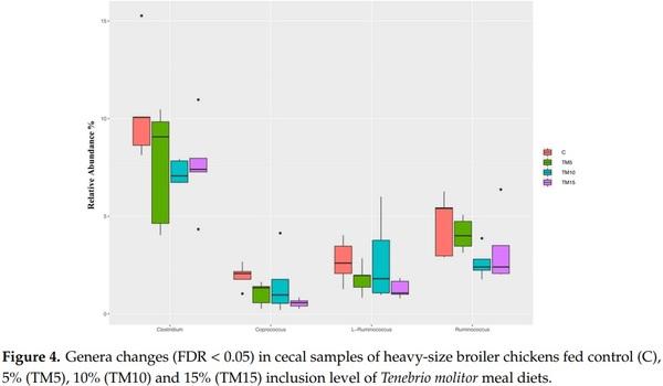 Yellow Mealworm Inclusion in Diets for Heavy-Size Broiler Chickens: Implications for Intestinal Microbiota and Mucin Dynamics - Image 4