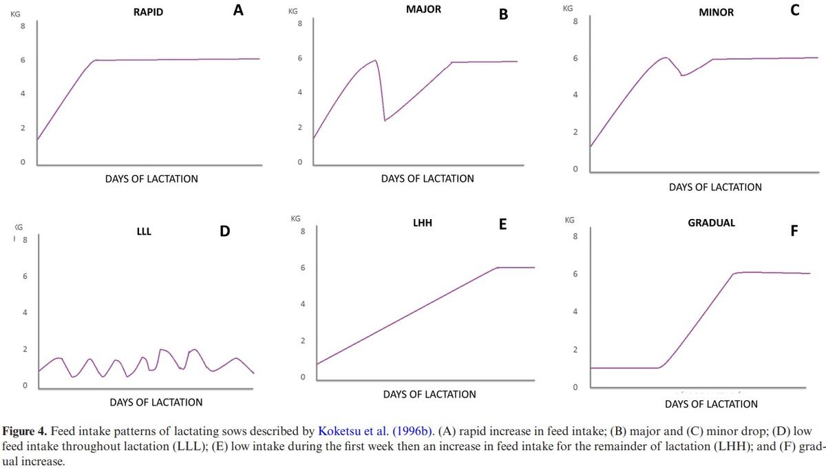 Big (pig) data and the internet of the swine things: a new paradigm in the industry - Image 7