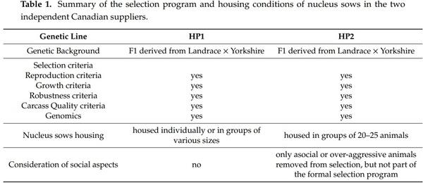 The Role of Genetic Selection on Agonistic Behavior and Welfare of Gestating Sows Housed in Large Semi-Static Groups - Image 1