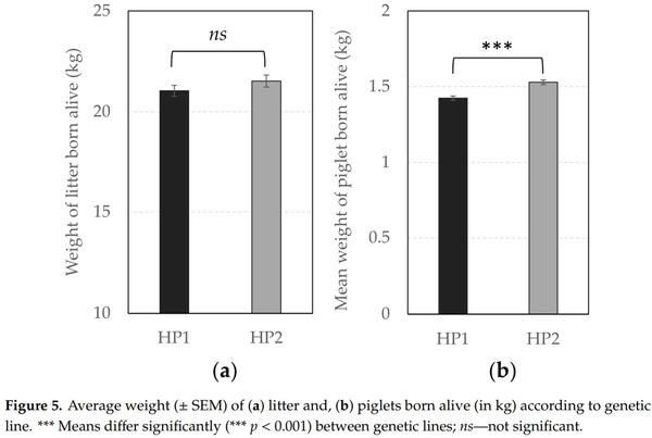The Role of Genetic Selection on Agonistic Behavior and Welfare of Gestating Sows Housed in Large Semi-Static Groups - Image 10