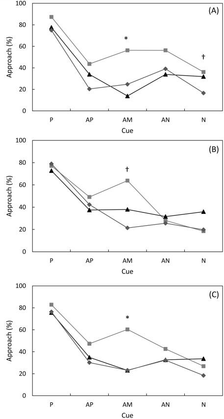 The Way Humans Behave Modulates the Emotional State of Piglets - Image 3