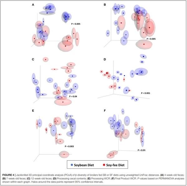 The Effects of Feeding a Soybean-Based or a Soy-Free Diet on the Gut Microbiome of Pasture-Raised Chickens Throughout Their Lifecycle - Image 9