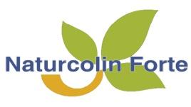 Newsletter, Liptosa - Image 2