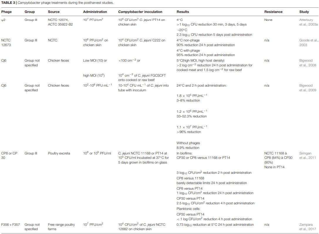 Application of Bacteriophages to Limit Campylobacter in Poultry Production - Image 7