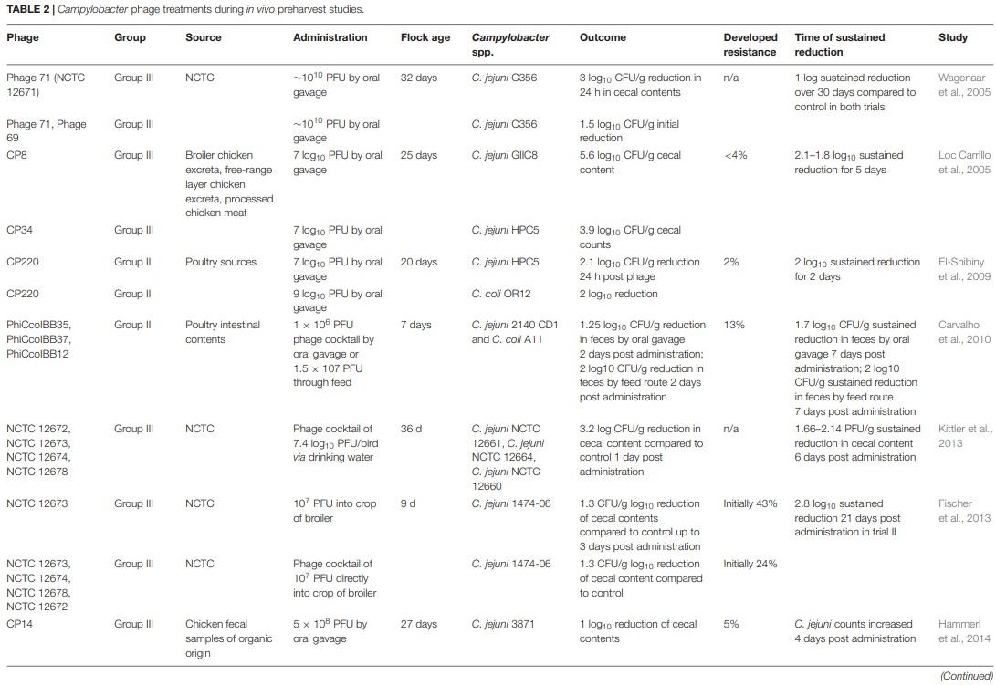 Application of Bacteriophages to Limit Campylobacter in Poultry Production - Image 3