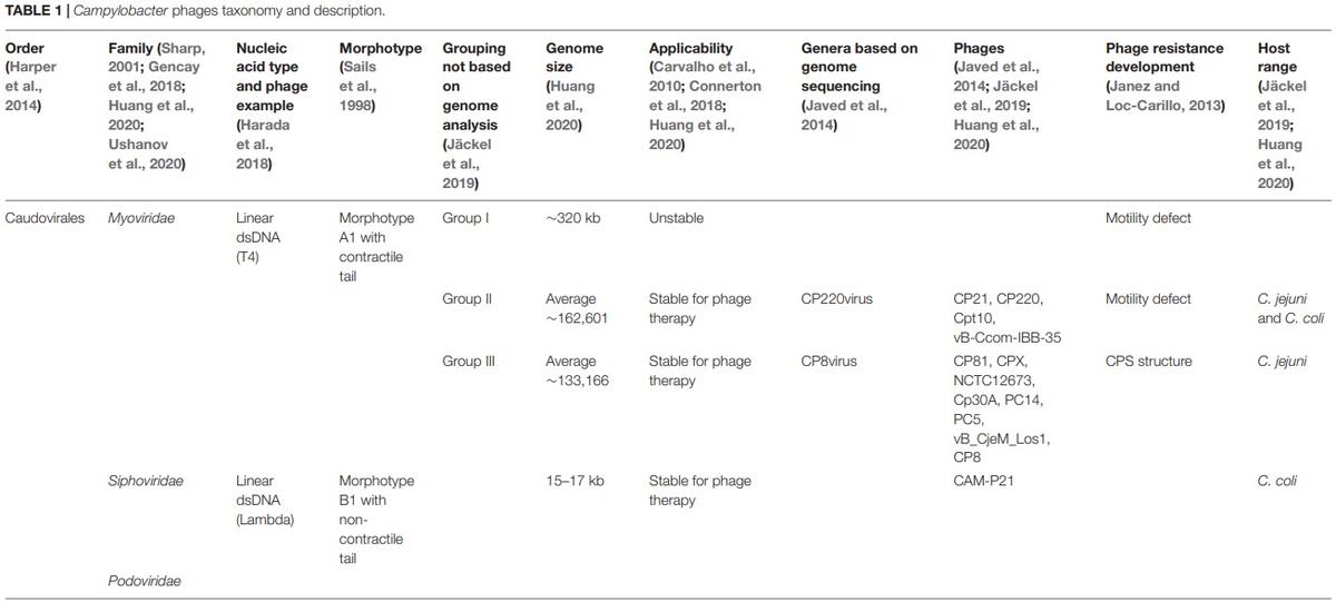Application of Bacteriophages to Limit Campylobacter in Poultry Production - Image 1