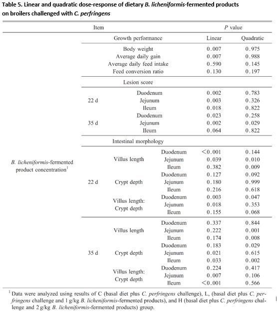 Bacillus licheniformis-Fermented Products Improve Growth Performance and Intestinal Gut Morphology in Broilers under Clostridium perfringens Challenges (Extract) - Image 5