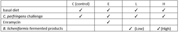 Bacillus licheniformis-Fermented Products Improve Growth Performance and Intestinal Gut Morphology in Broilers under Clostridium perfringens Challenges (Extract) - Image 1
