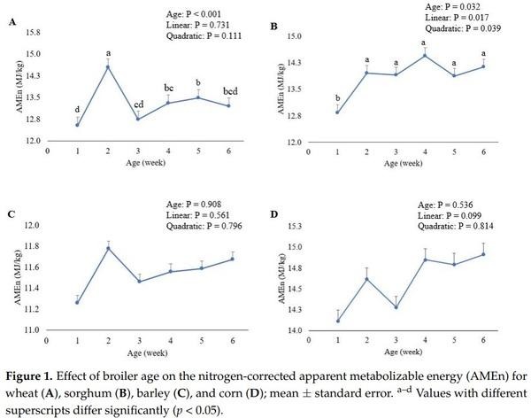 Influence of Broiler Age on the Apparent Metabolizable Energy of Cereal Grains Determined Using the Substitution Method - Image 4