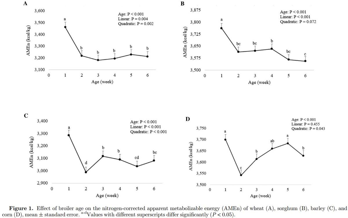 Apparent metabolizable energy of cereal grains for broiler chickens is influenced by age - Image 5
