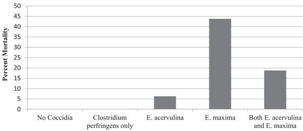 An optimist’s view on limiting necrotic enteritis and maintaining broiler gut health and performance in today’s marketing, food safety, and regulatory climate - Image 5
