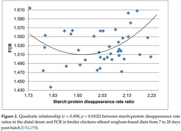 The Dynamic Conversion of Dietary Protein and Amino Acids into Chicken-Meat Protein - Image 7