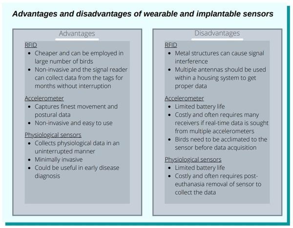 Technology to monitor poultry welfare: wearables and implantables - Image 2