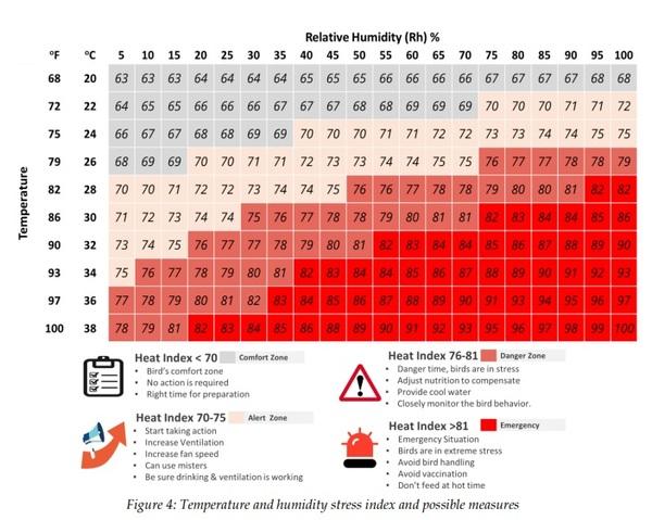 Managing heat stress in poultry: A strategic approach - Image 4