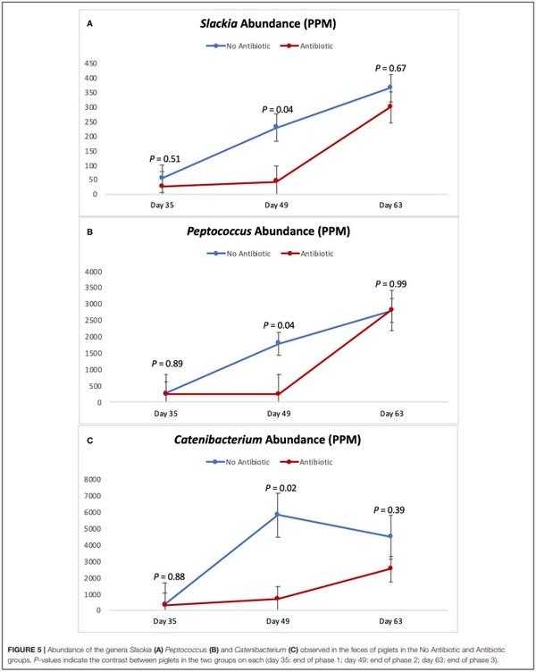 The Effects of Feeding Antibiotic on the Intestinal Microbiota of Weanling Pigs - Image 5