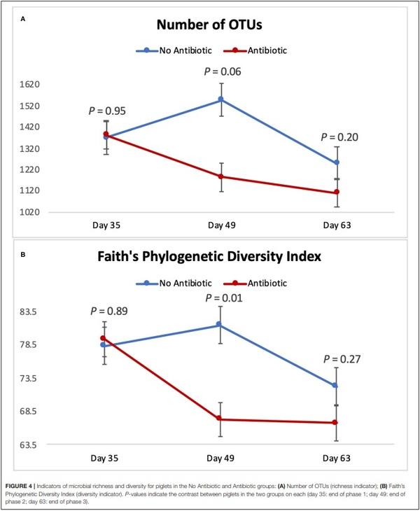 The Effects of Feeding Antibiotic on the Intestinal Microbiota of Weanling Pigs - Image 4