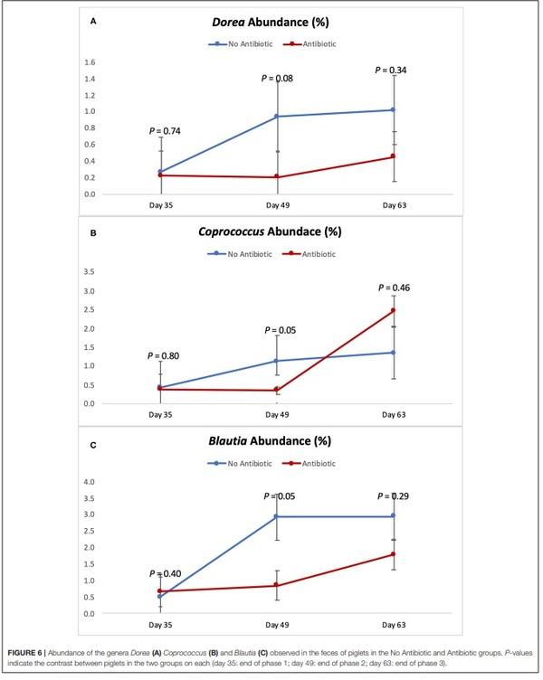 The Effects of Feeding Antibiotic on the Intestinal Microbiota of Weanling Pigs - Image 6