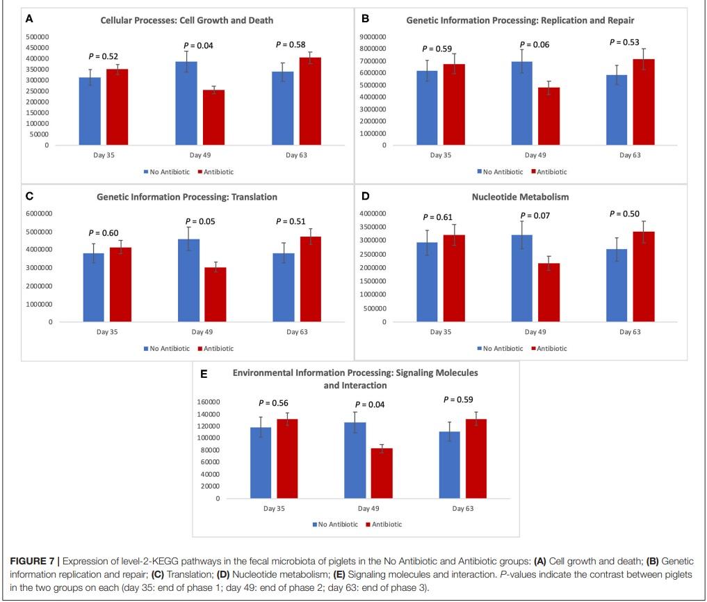 The Effects of Feeding Antibiotic on the Intestinal Microbiota of Weanling Pigs - Image 1