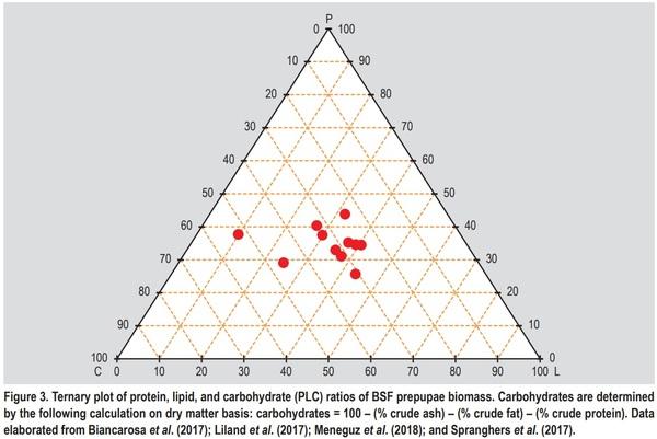 Substrate as insect feed for bio-mass production - Image 3