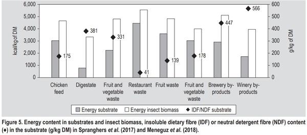 Substrate as insect feed for bio-mass production - Image 6
