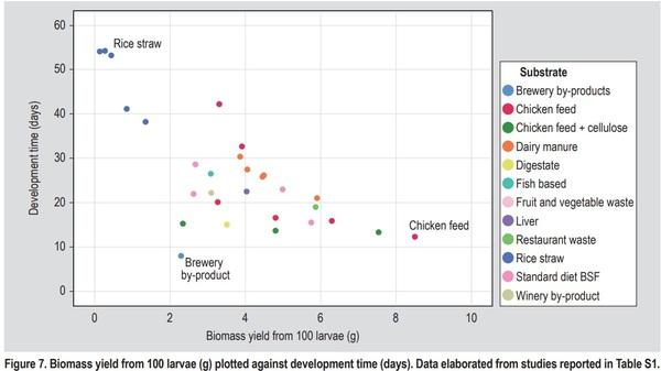 Substrate as insect feed for bio-mass production - Image 8