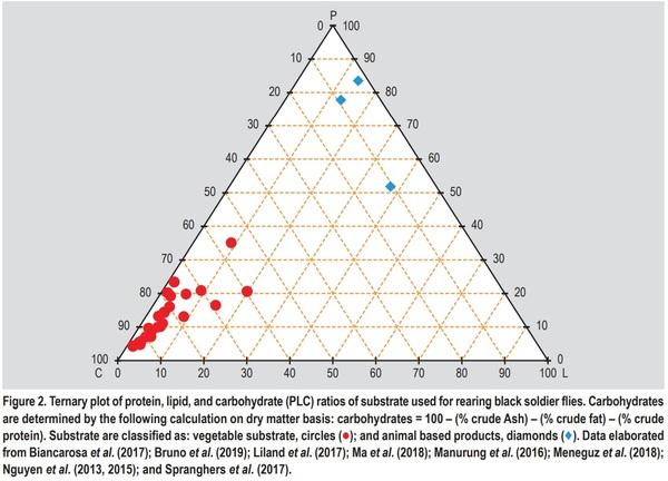 Substrate as insect feed for bio-mass production - Image 2