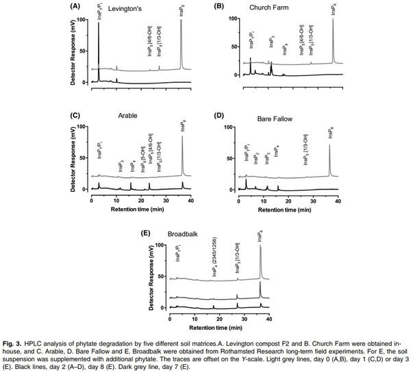 Improved sensitivity, accuracy and prediction provided by a high-performance liquid chromatography screen for the isolation of phytase-harbouring organisms from environmental samples - Image 3