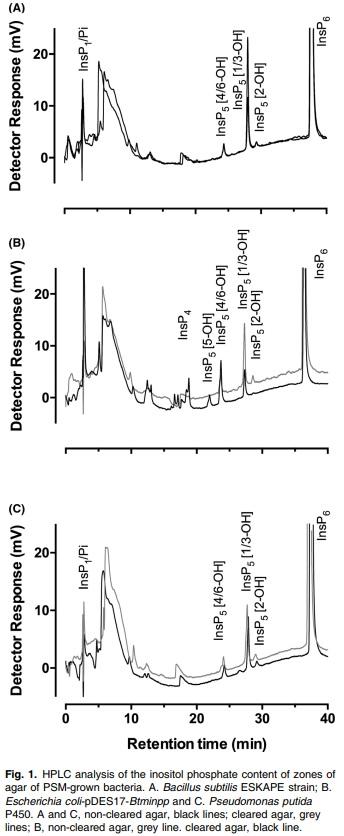 Improved sensitivity, accuracy and prediction provided by a high-performance liquid chromatography screen for the isolation of phytase-harbouring organisms from environmental samples - Image 1
