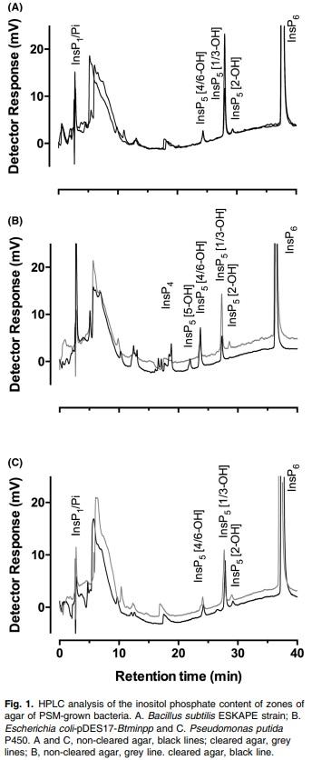 Improved sensitivity, accuracy and prediction provided by a high-performance liquid chromatography screen for the isolation of phytase-harbouring organisms from environmental samples - Image 1