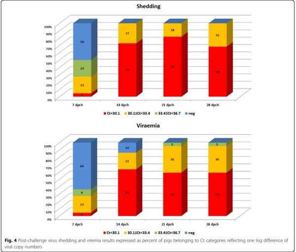 Characterization of a PCV2d-2 isolate by experimental infection of pigs - Image 4