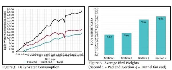 Uneven Bird Distribution Can Prove Costly - Image 1